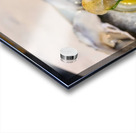 Elegy in Shell Minor Acrylic print