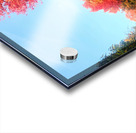 Fall Over the Fence Acrylic print