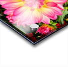 Petal Prism: Nature’s Geometry Acrylic print