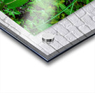 The Poetic Geometry of a Meadow’s Breath Acrylic print