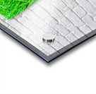 The Philosopher’s Cap Acrylic print