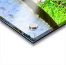 Under the Cap: A Fungal World Revealed Acrylic print