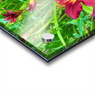 Burgundy Muse Acrylic print