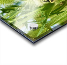 Wings and Spikes Acrylic print