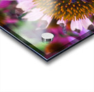 The Heart of Nature Acrylic print