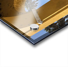 IMG 0304 Acrylic print