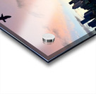 IMG 7958 Acrylic print