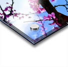 IMG 1703 Acrylic print