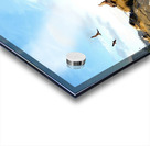 Seal Meditation Acrylic print