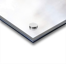 A Blonde Squirrel Moment Acrylic print