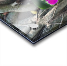 Natural Orchid 1B Acrylic print