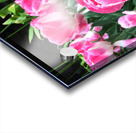 Tulips Are Better Than One C Acrylic print