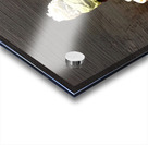 Climbing Mount Mochi Acrylic print