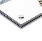 The Shard in London 1B Acrylic print