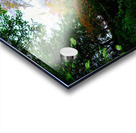 Autumn Stroll Acrylic print