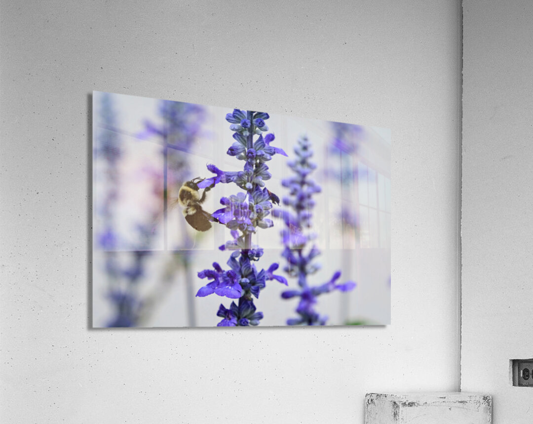 Lavender Towers and the Bee Acrylic Print