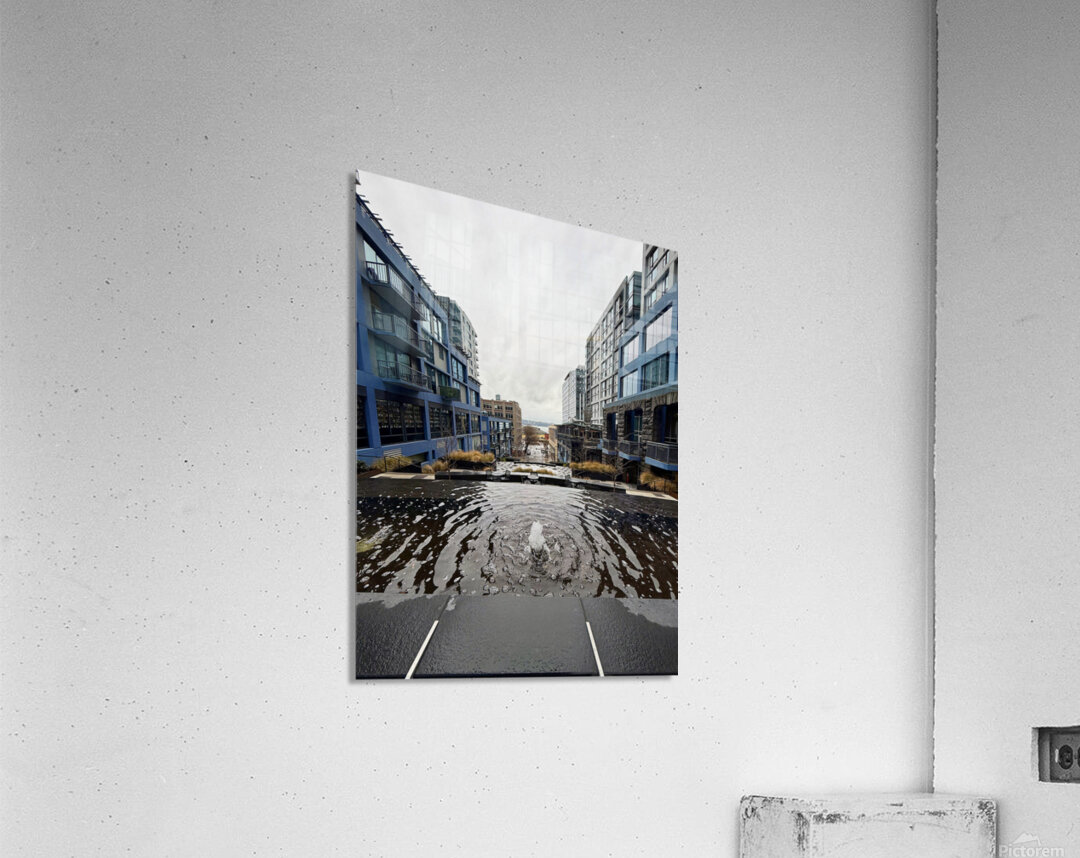 IMG 8437 Acrylic Print