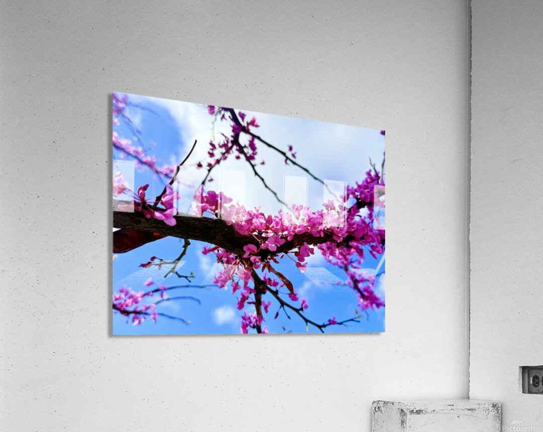 IMG 1703 Acrylic Print