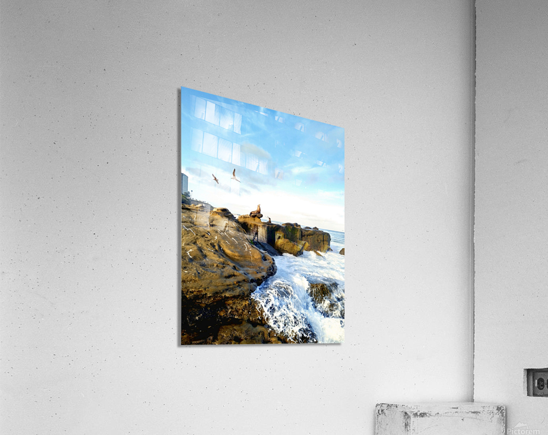 Seal Meditation Acrylic Print