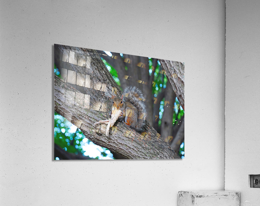 Yes I like Chicken Wings  Acrylic Print