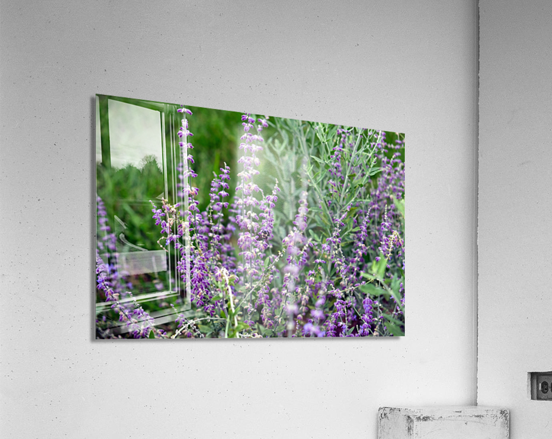 Towers of Lavender Acrylic Print