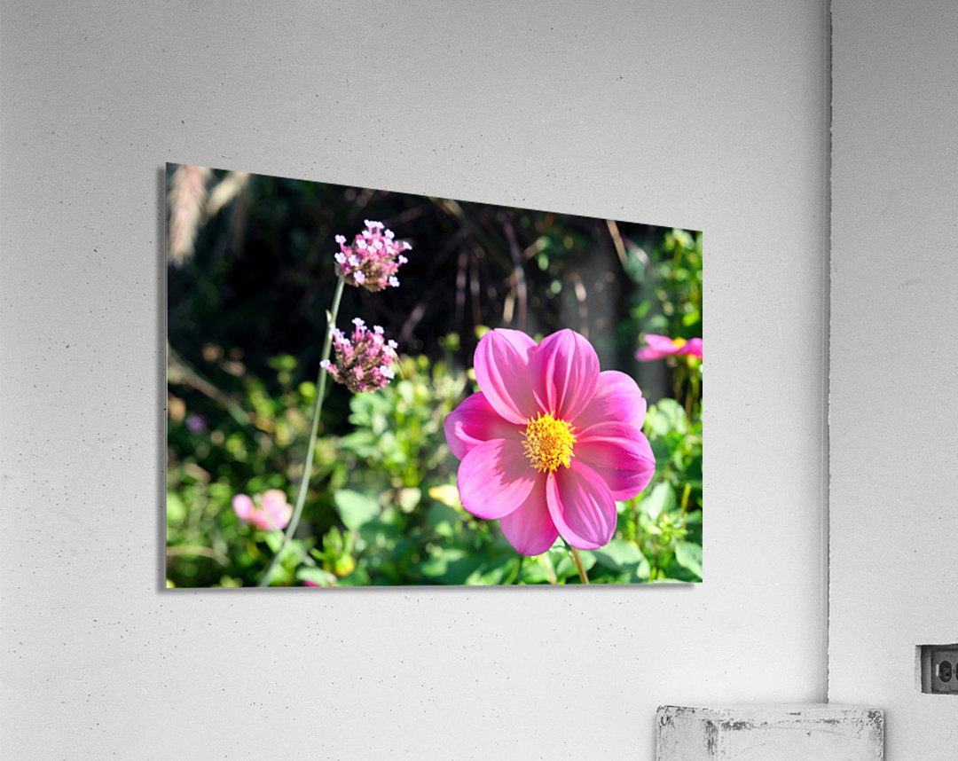 Flower Bloom 7B Acrylic Print