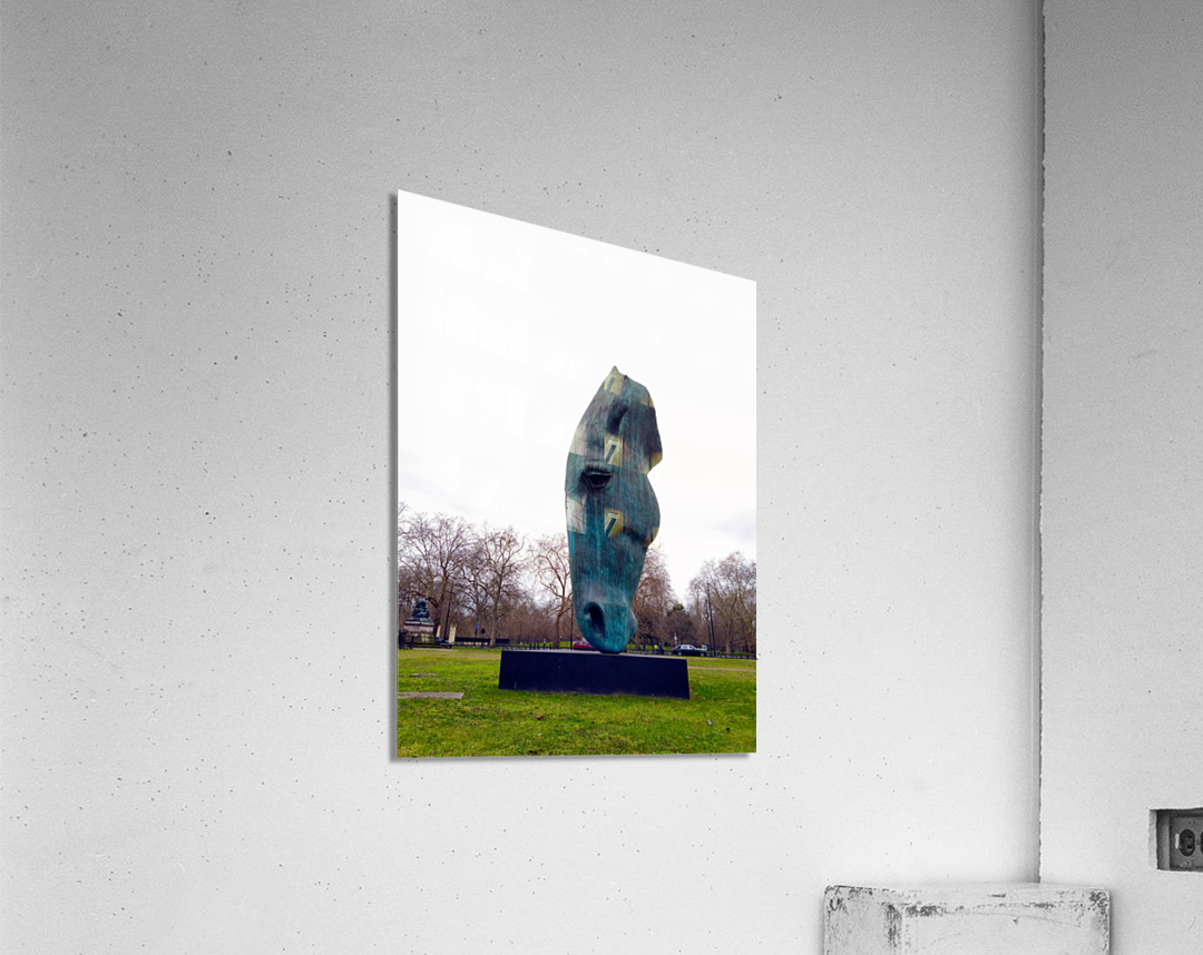 Horsehead Sculpture 2 Acrylic Print