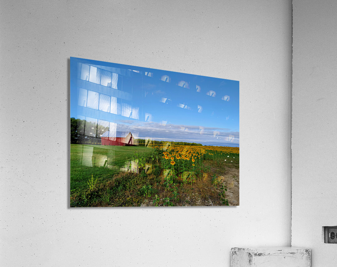 Barn & Blossoms Acrylic Print