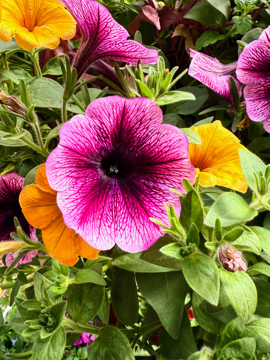 Impression de cadre personnalisé