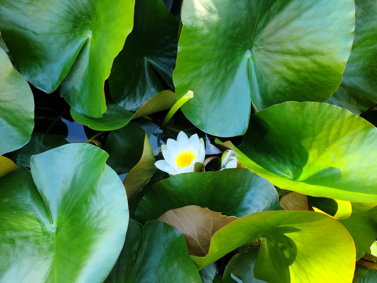 Impression de cadre personnalisé