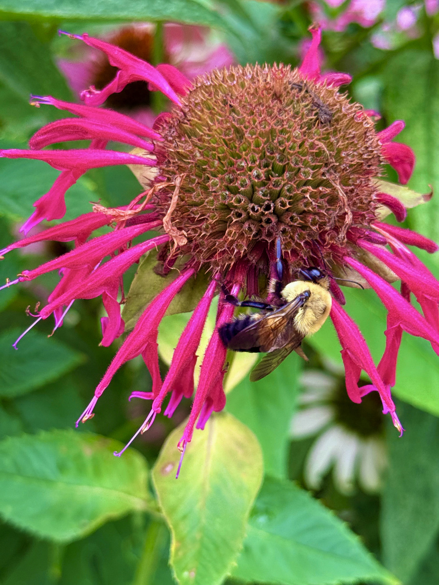 Impression de cadre personnalisé
