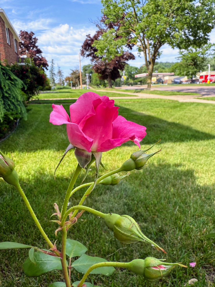 Impression de cadre personnalisé