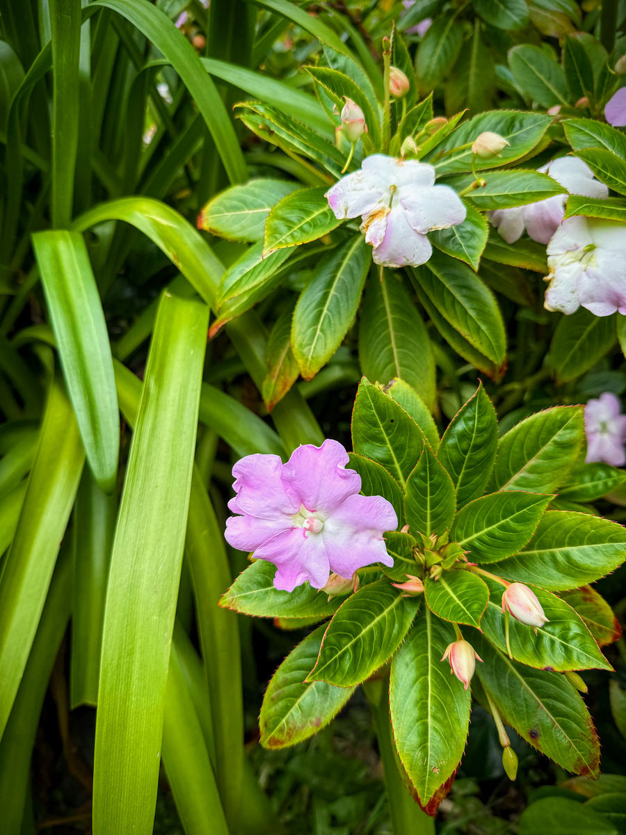 Impression de cadre personnalisé