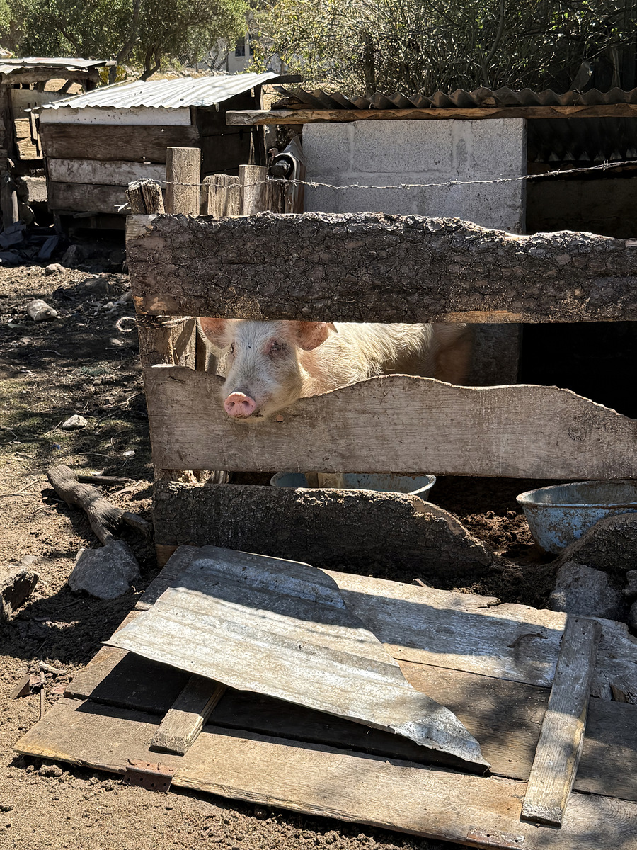 Impression de cadre personnalisé