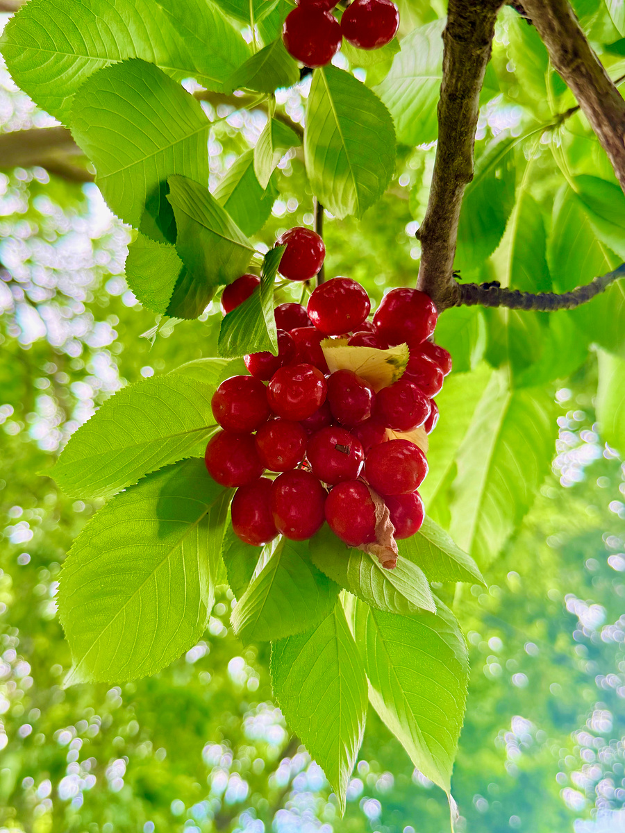 Impression de cadre personnalisé