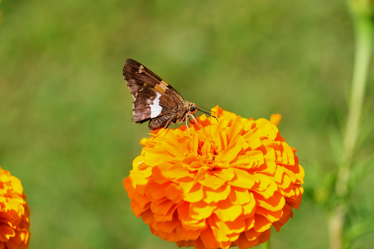 Impression de cadre personnalisé