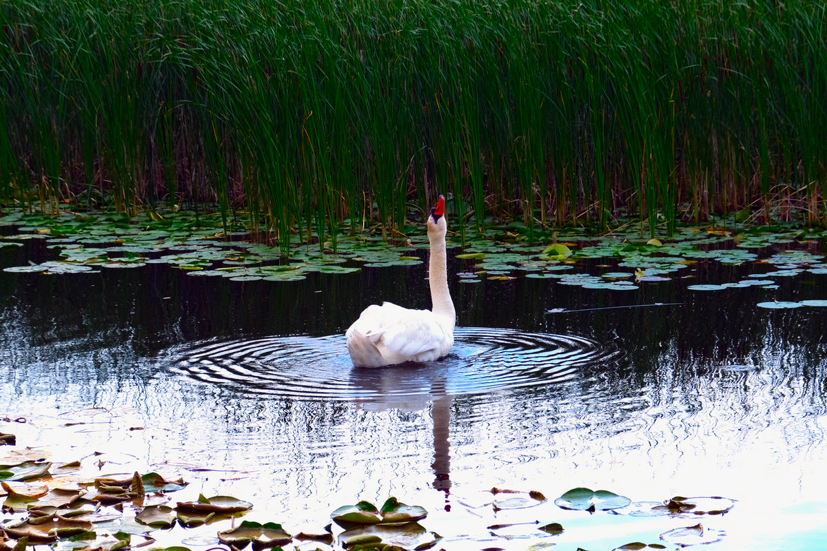 Impression de cadre personnalisé