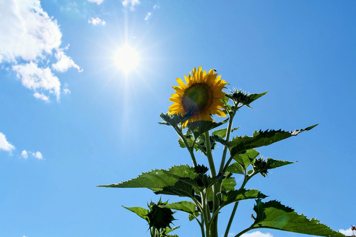 Impression de cadre personnalisé