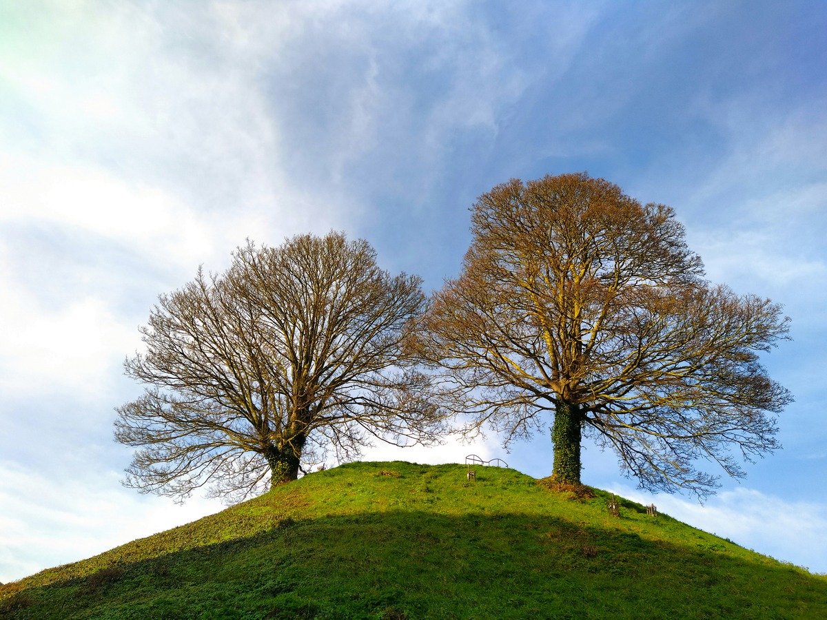 Impression de cadre personnalisé