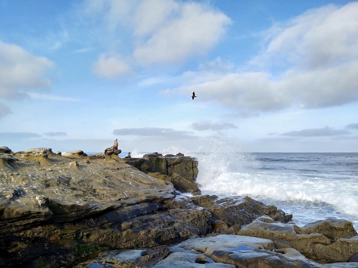 Impression de cadre personnalisé