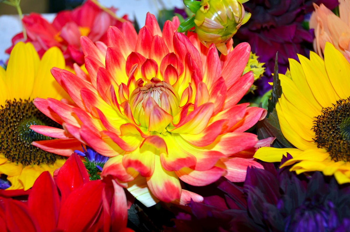 Impression de cadre personnalisé