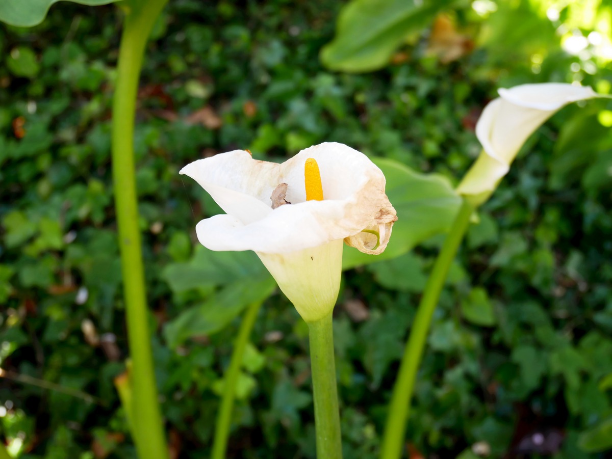Impression de cadre personnalisé