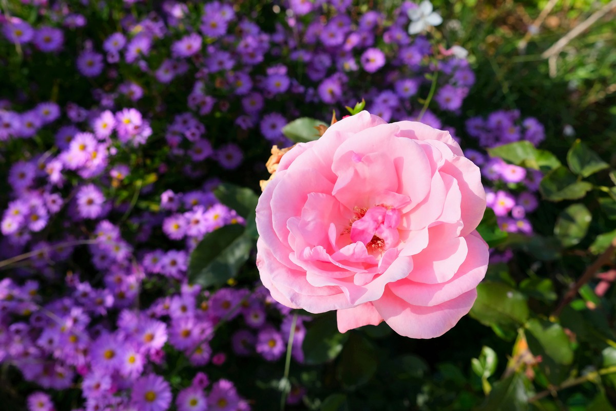 Impression de cadre personnalisé