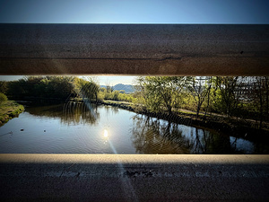 Spider Web on Bridge at Sunrise – Nature Framed in Stillness 2