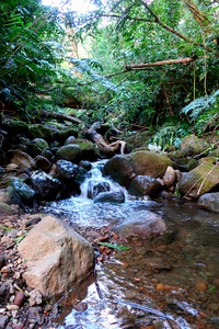 Hiking Hawaii Water Flow