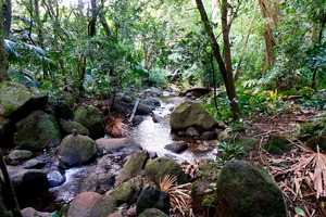 Hiking Hawaii Water Flow B