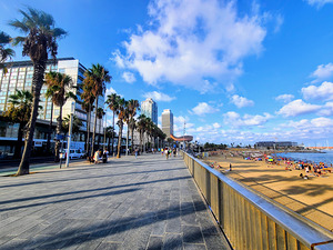 Barcelona Beach: Where the City Meets the Sea