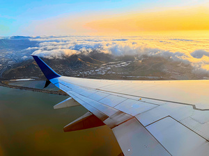 Wings over SF: Golden Fog Unveiled