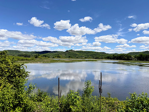 Serenity on the Surface