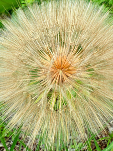 Nature’s Compass: All Directions One Origin